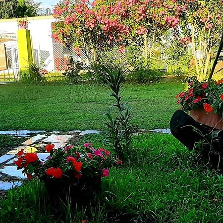 شقة Kolonia E Artistave Velipojë المظهر الخارجي الصورة